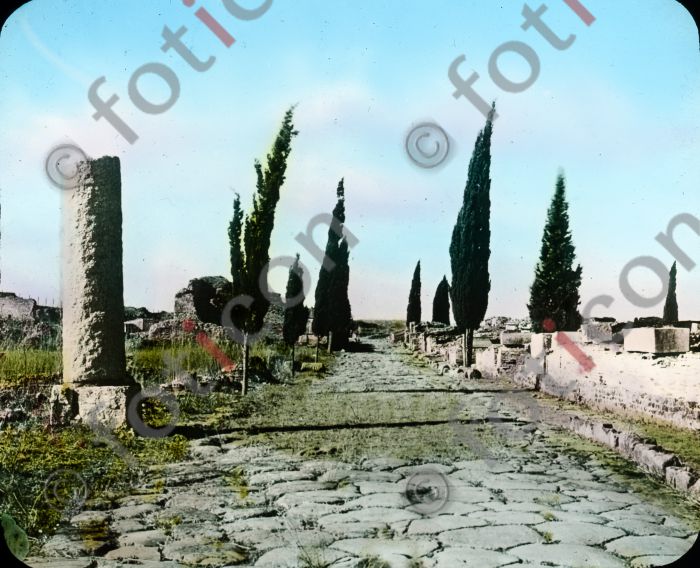 Strasse bei Ostia | Road at Ostia  (simon-vulkanismus-359-012.jpg)